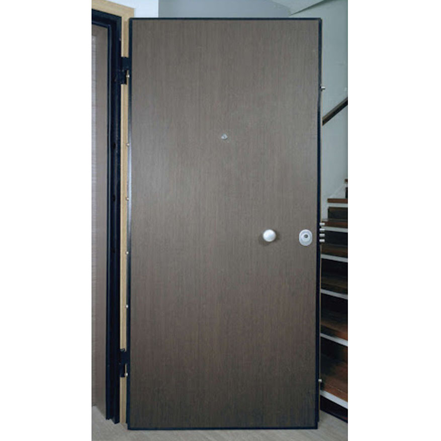 Apartment-door-Door-and-handles1
